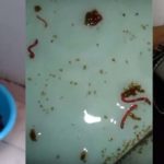 Kết quả sục rửa, làm sạch đường ống nước